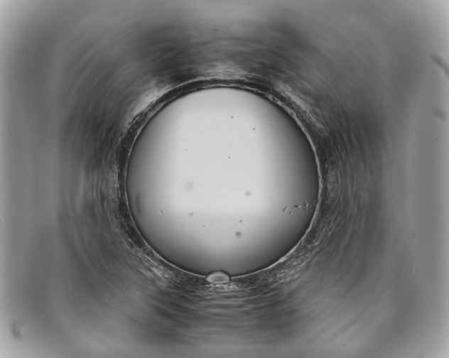 X0000098041315200804111336
