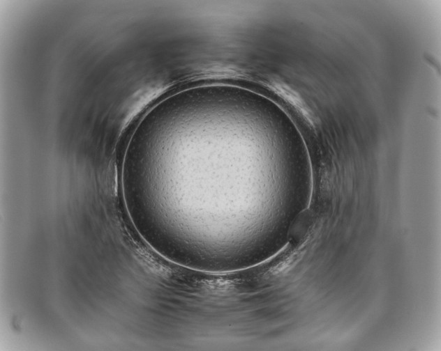 X0000098041317200804111336
