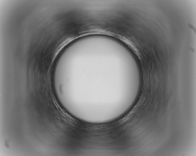 X0000098041318200804111336