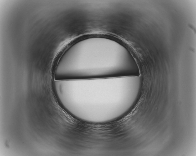 X0000098041319200804111336