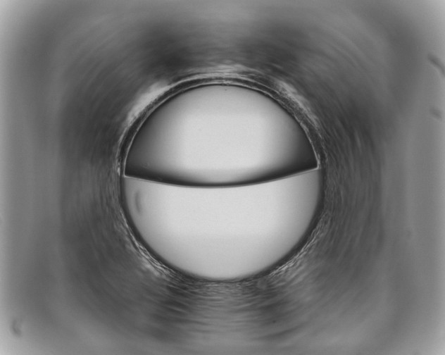 X0000098041320200804111336