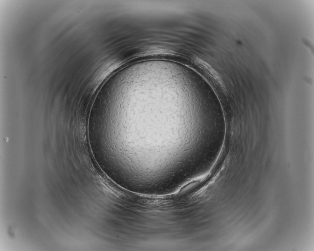 X0000098041321200804111336