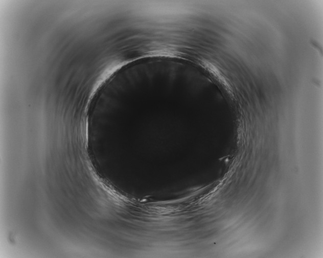 X0000098041323200804111337