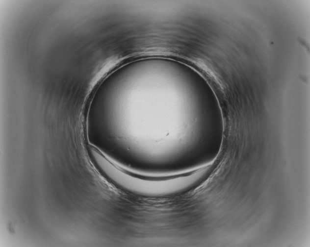 X0000098041325200804111337