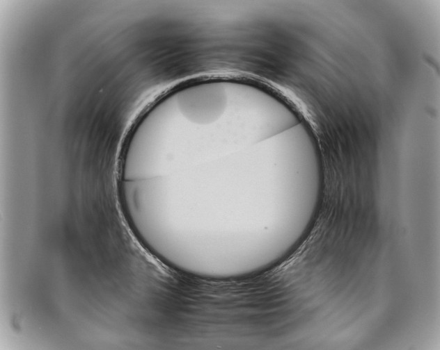 X0000098041327200804111337