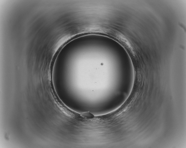 X0000098041328200804111337