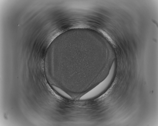 X0000098041329200804111337