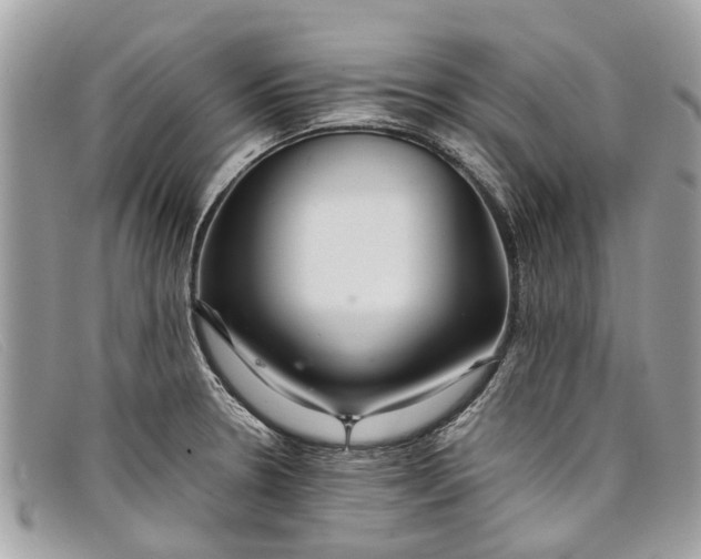 X0000098041330200804111337