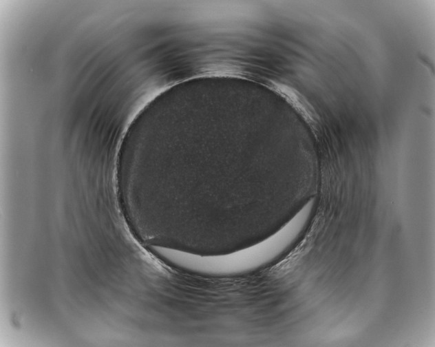 X0000098041331200804111337