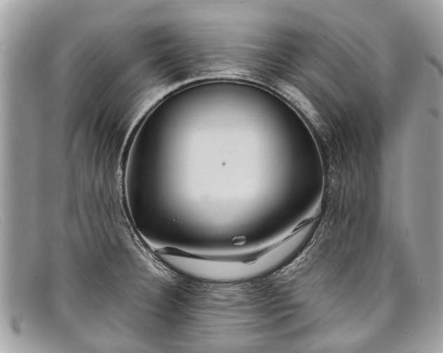 X0000098041332200804111337