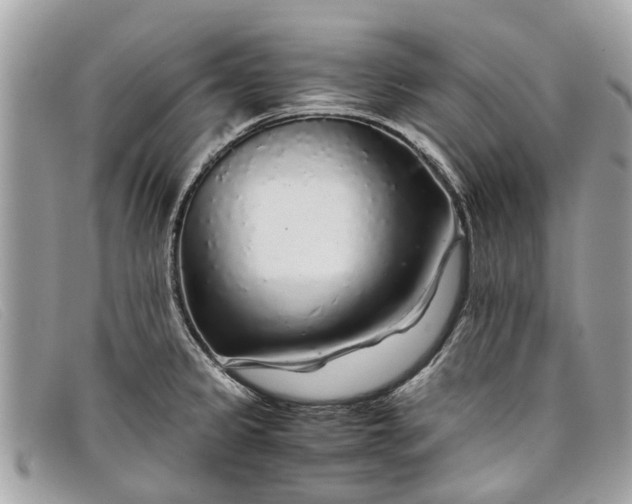 X0000098041333200804111337