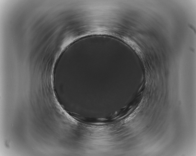 X0000098041334200804111337