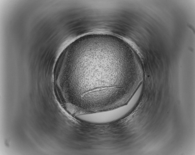 X0000098041335200804111337