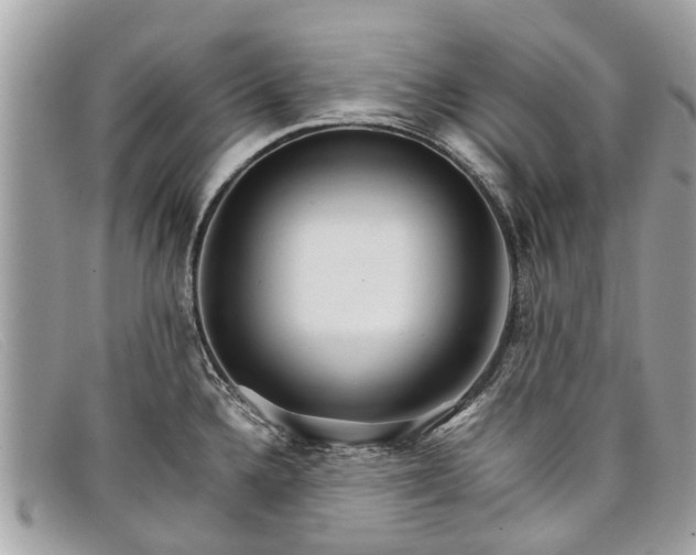 X0000098041336200804111337