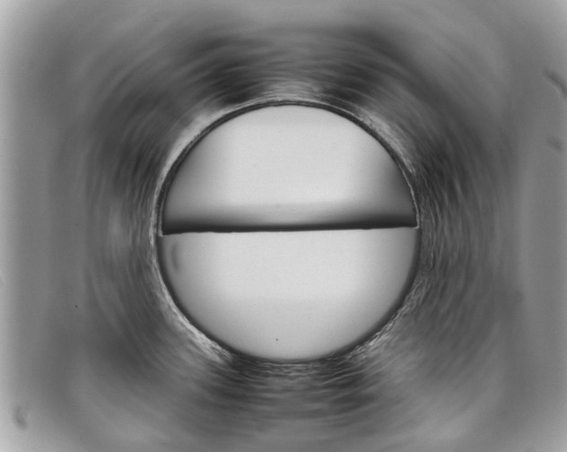 X0000098041339200804111337
