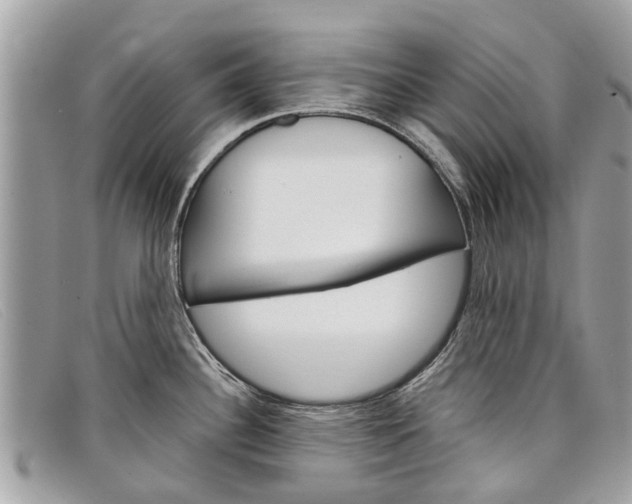 X0000098041340200804111337