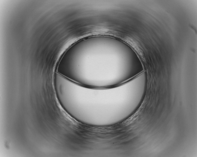 X0000098041342200804111337