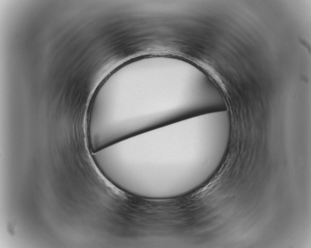 X0000098041343200804111337