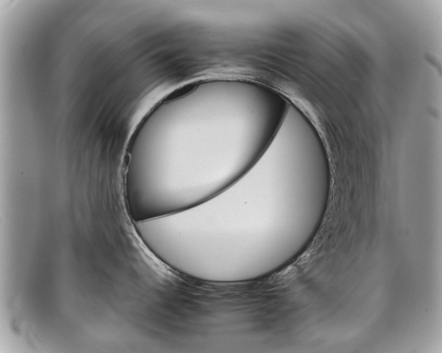 X0000098041344200804111337