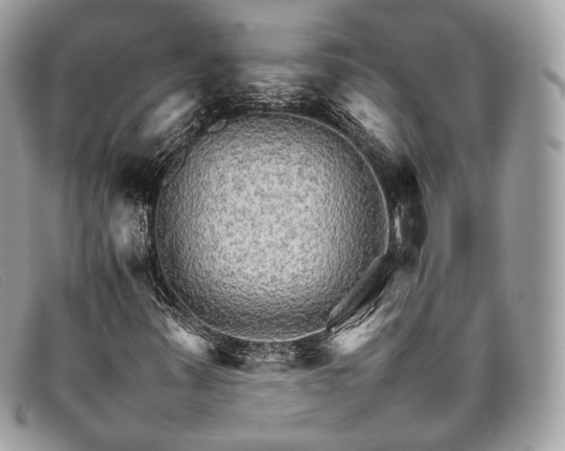 X0000098041347200804111336