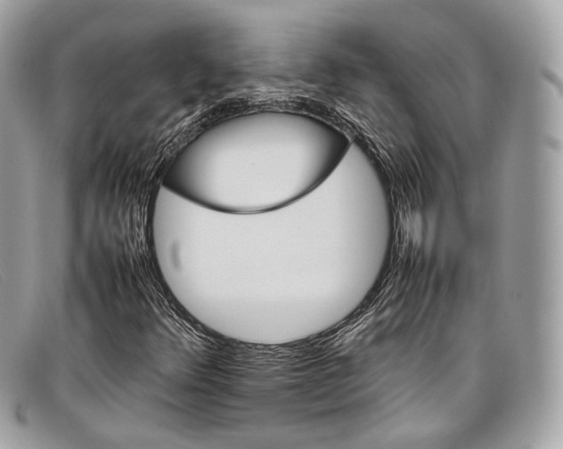 X0000098041348200804111336