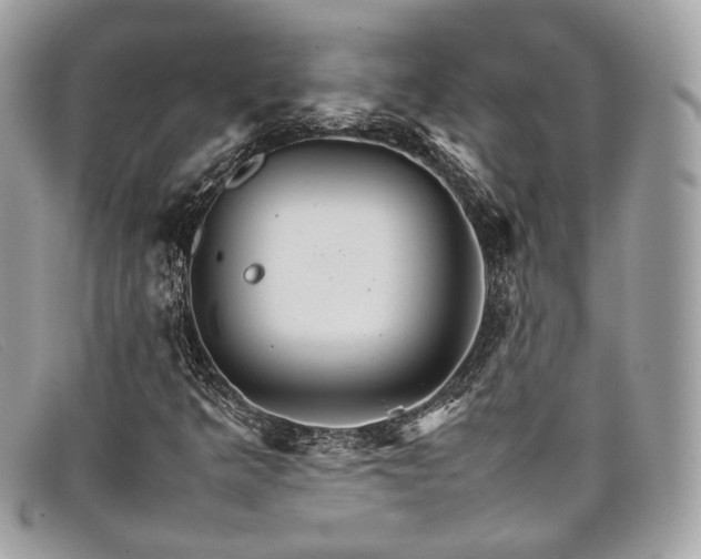 X0000098041349200804111336