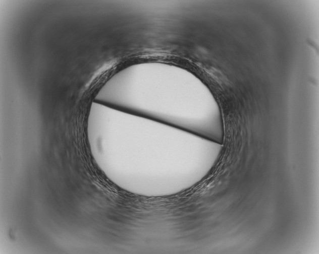 X0000098041351200804111336