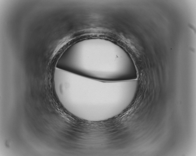X0000098041352200804111336