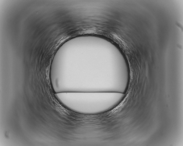 X0000098041353200804111336