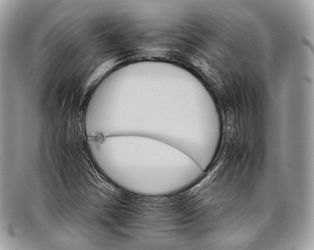 X0000098041354200804111336