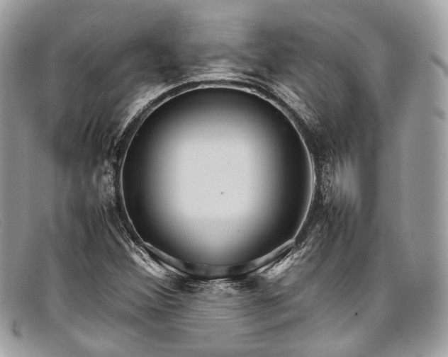 X0000098041356200804111336
