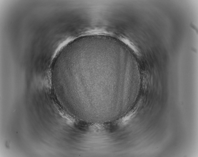X0000098041358200804111336