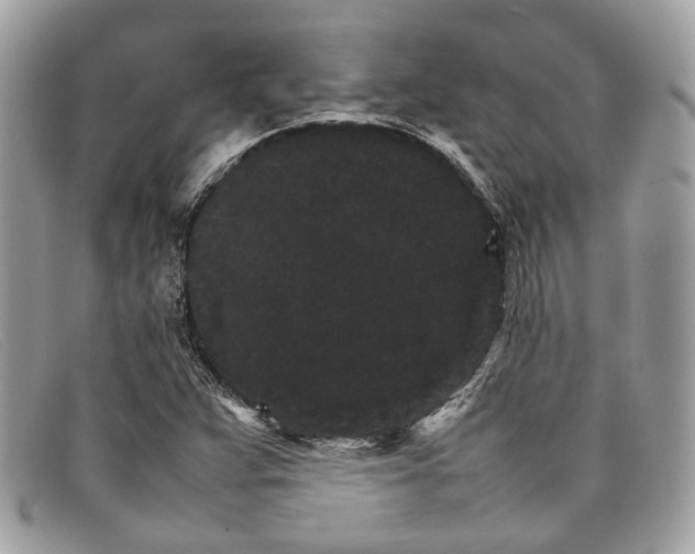 X0000098041359200804111336