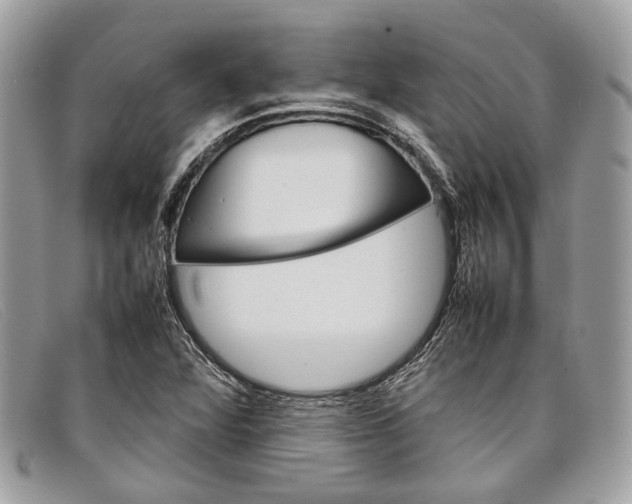 X0000098041360200804111336