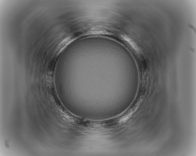 X0000098041361200804111336