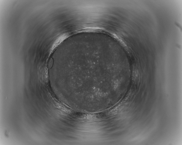 X0000098041362200804111336
