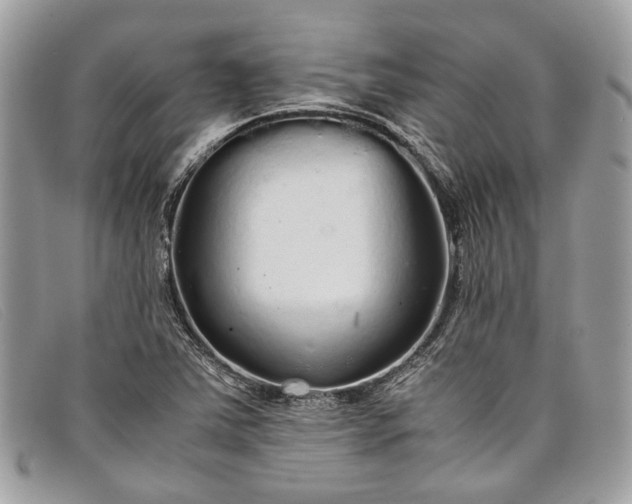 X0000098041363200804111336