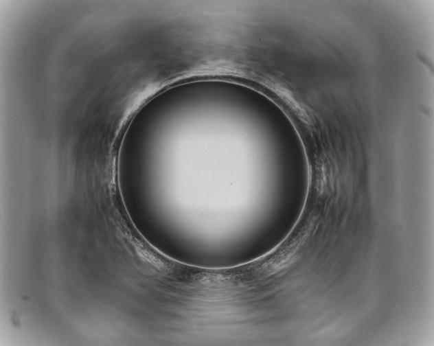 X0000098041366200804111336