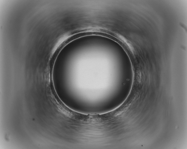 X0000098041368200804111336