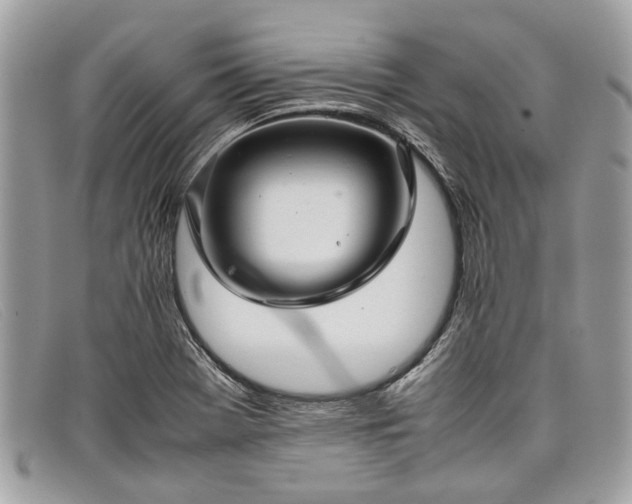 X0000098041369200804111336
