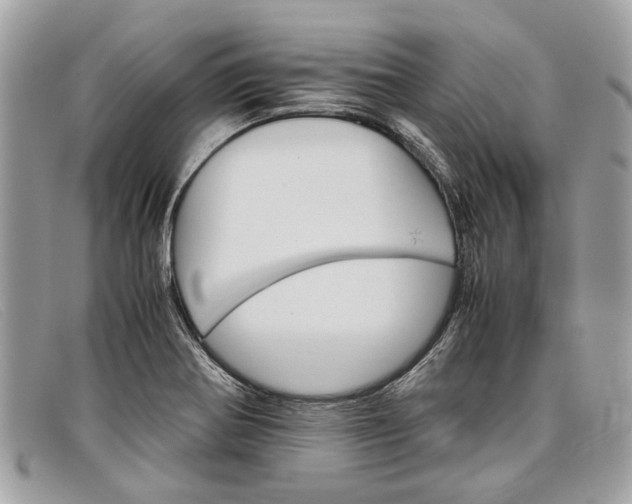 X0000098041370200804111336
