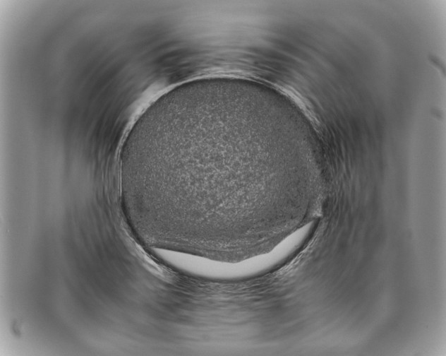 X0000098041371200804111336