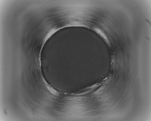X0000098041372200804111336