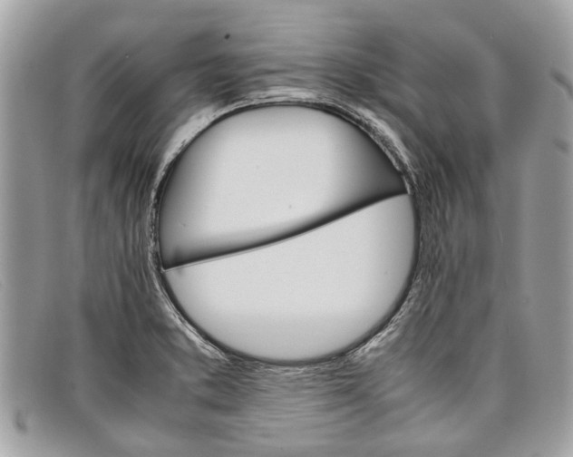 X0000098041373200804111336