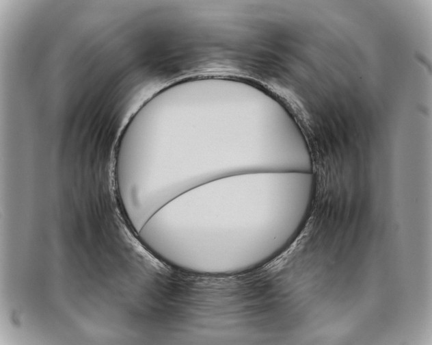 X0000098041374200804111336