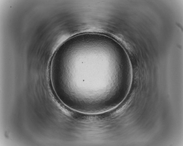 X0000098041375200804111336
