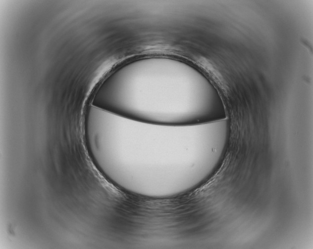 X0000098041376200804111336