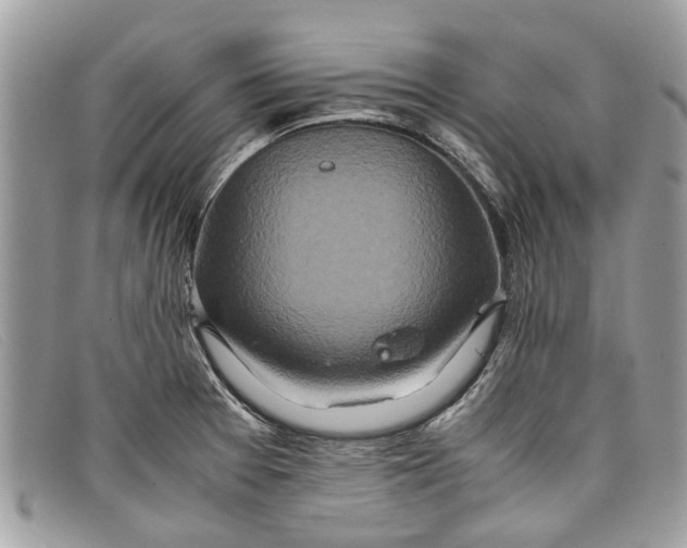 X0000098041377200804111336