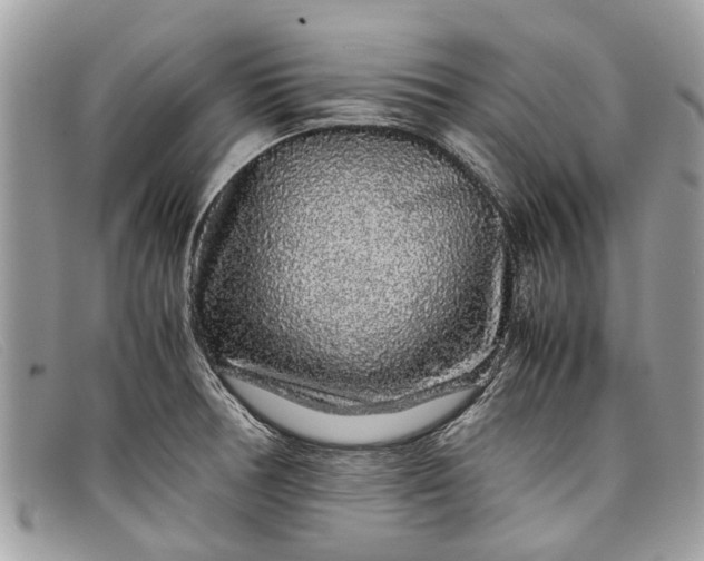 X0000098041378200804111336