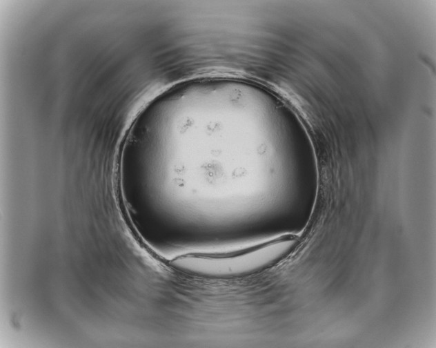 X0000098041379200804111335